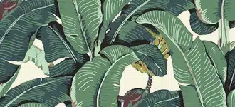 Image not available