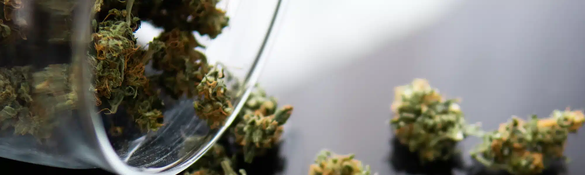 Modern cannabis dispensary storefront near Lincroft New Jersey with clean design and welcoming entrance